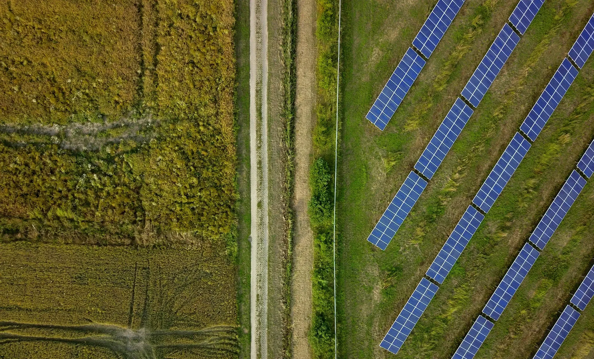 Solarmodule auf Grünland